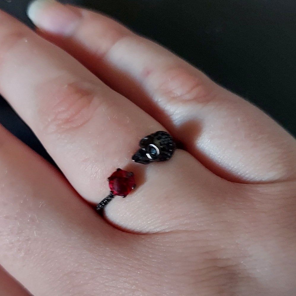 🆕️ Black Skull and Ruby Ring